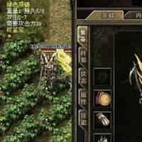 攻4绿色项链，攻击2‑7，极品+2攻击，祖玛项链，打架输出高