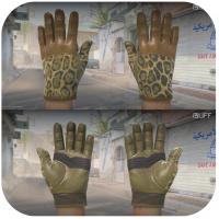 【STEAM】-国服-完美平台-Csgo2-游戏装备交易-驾驶手套（★） | 美洲豹女王 (略有磨损)