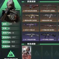 三角洲行动，账号出售，总资200‑260M，哈夫币700‑1100万，30‑40把传说枪皮，5‑8套干员红皮，多把近战传说（处刑者/暗星/坠星者），3×3安全箱